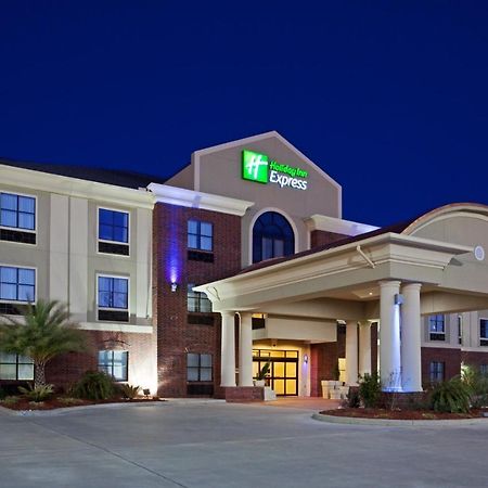 Holiday Inn Express Hotel & Suites Vidor South, An Ihg Hotel Bagian luar foto